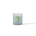 Blueberry Breeze Scented Soybean Candle